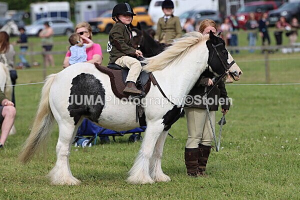 IMG_2300 - Working Hunter