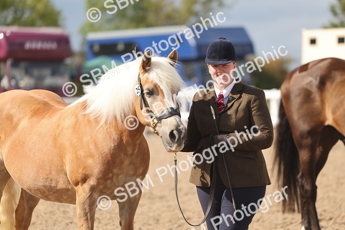 SBM_06872 - Class 25 - IH Foreign Breeds - Purebred
