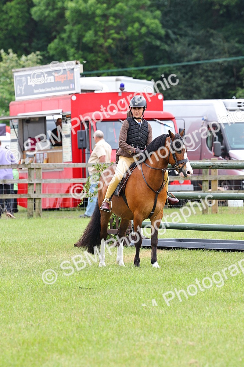SBM_08619 - Class 42-43 - LIHS BSPS Heritage Working Sports Pony