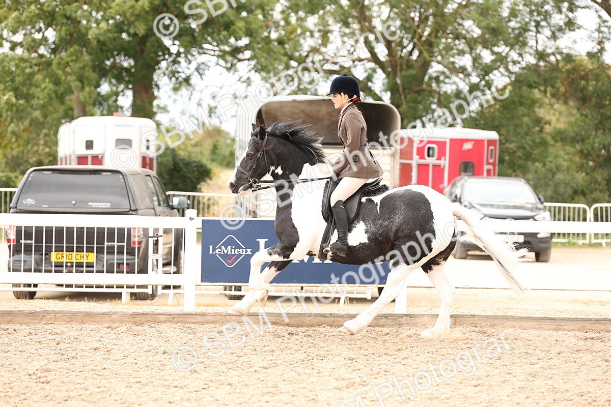 SBM_19685 - Class 216 - Ridden Traditional - Native Cob