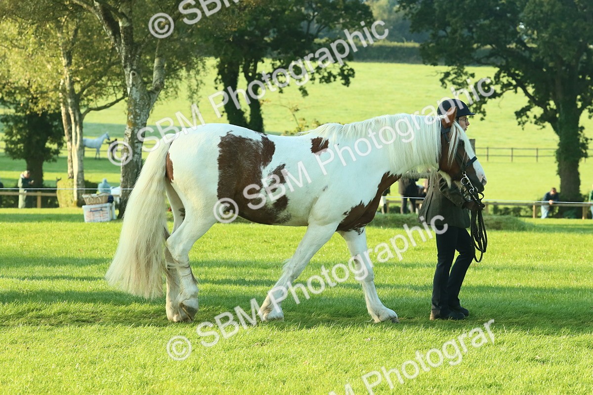 SBM_57325 - S37 - Starters In Hand Showing
