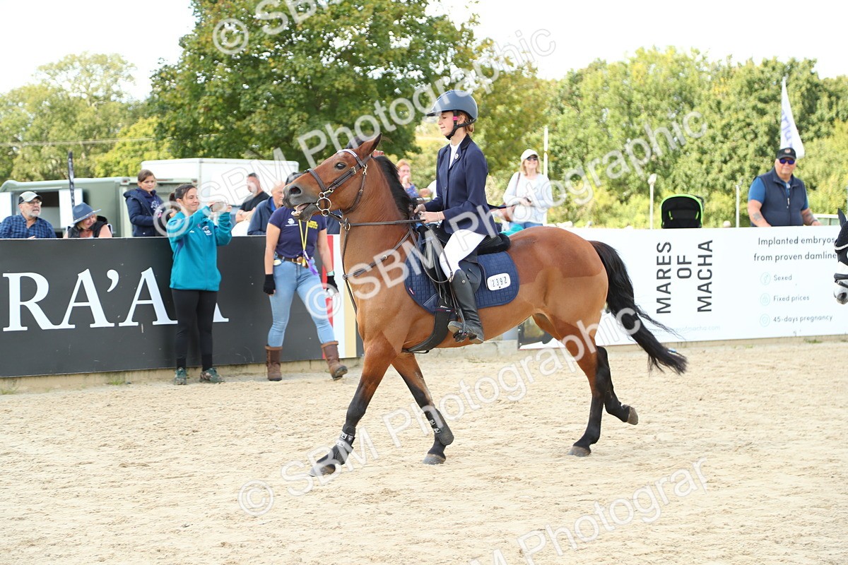 SBM_41541 - J6 - Junior Pony 55cm Championships