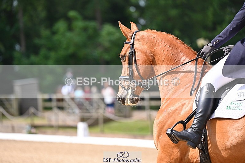 250523A-102431-05943 - C-263-Gini.Hope-PETER.PAN