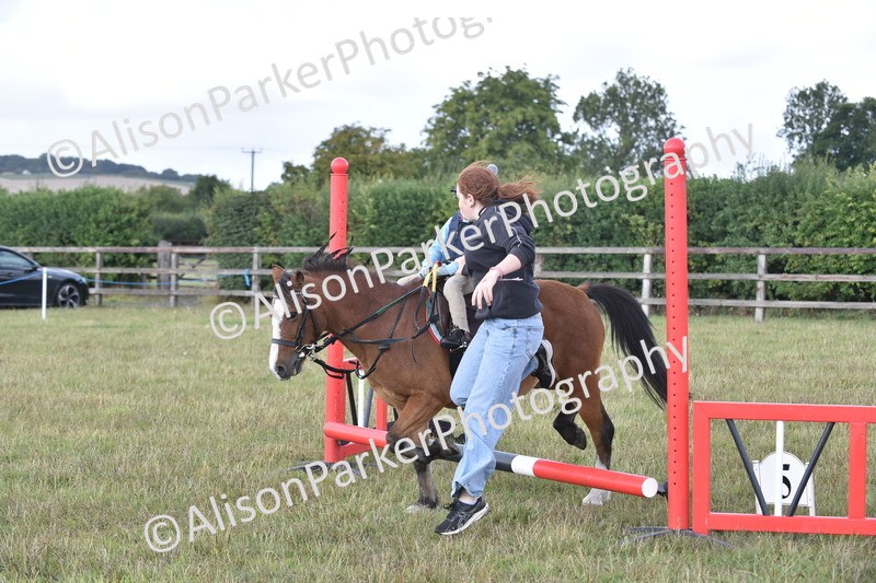 20250831-0493 - Class 7 - Absolute Novice 35cm