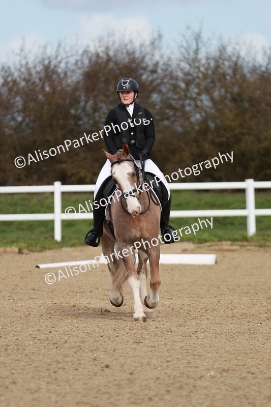 20260314-2760 - DR3 - Prelim 1