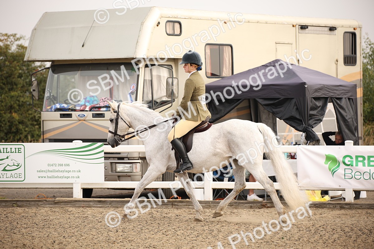 SBM_09808 - Class 401 Riding Club Pony