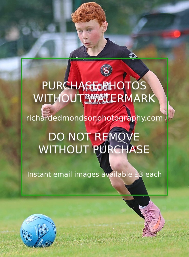 533A3020 - Sedbergh Wanderers (morning Ibis)