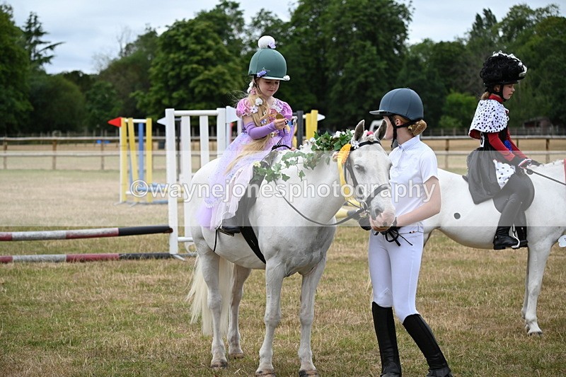 WJ6_5054 - Class 11 Fancy Dress