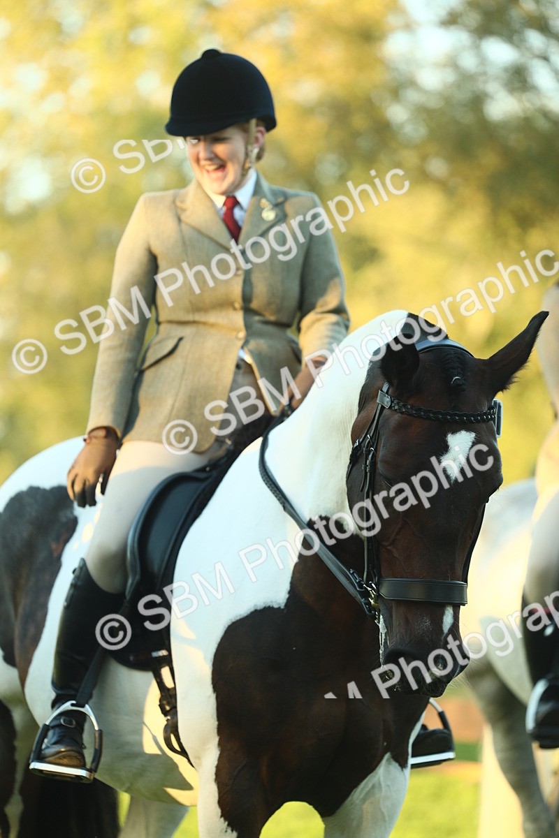 SBM_56515 - S14 - Riding Club Horse