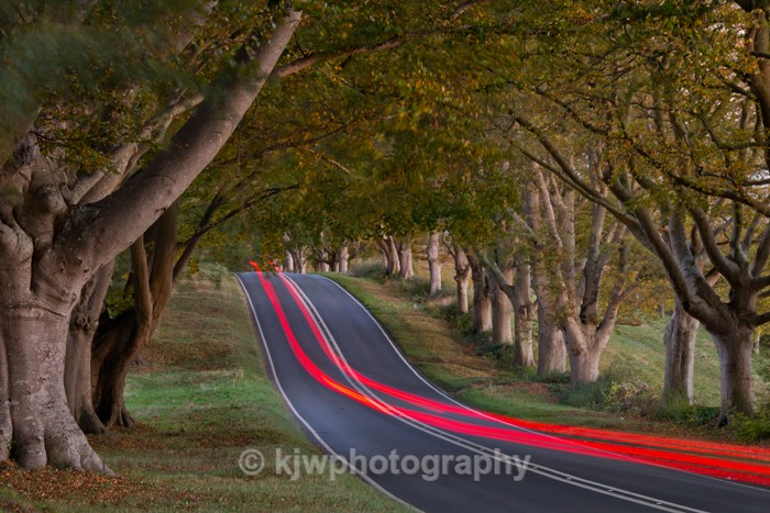 Light Trails - Gallery 4