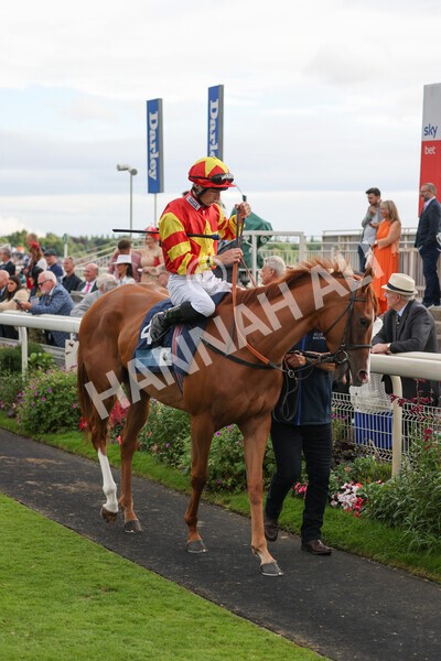 yr19082021r7-2 - Race 7 5.20pm British Stallion Studs EBF Fillies' Stakes