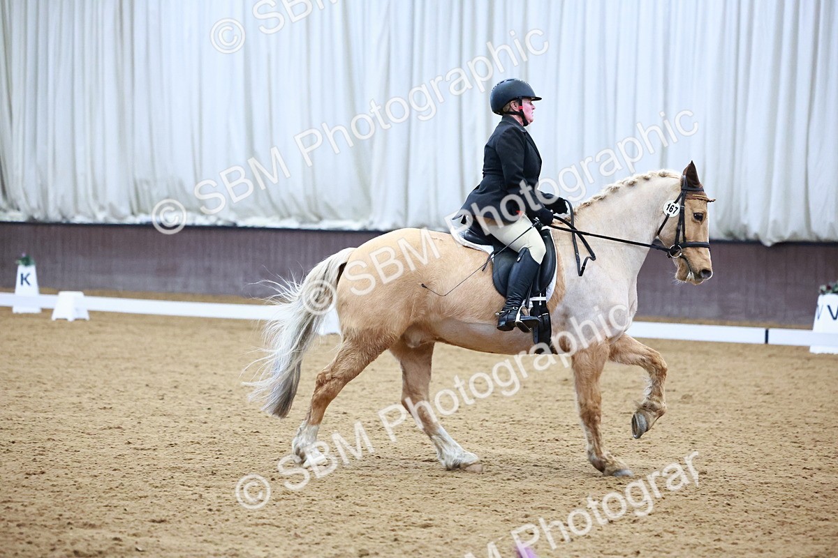 SBM_002787 - Novice Music