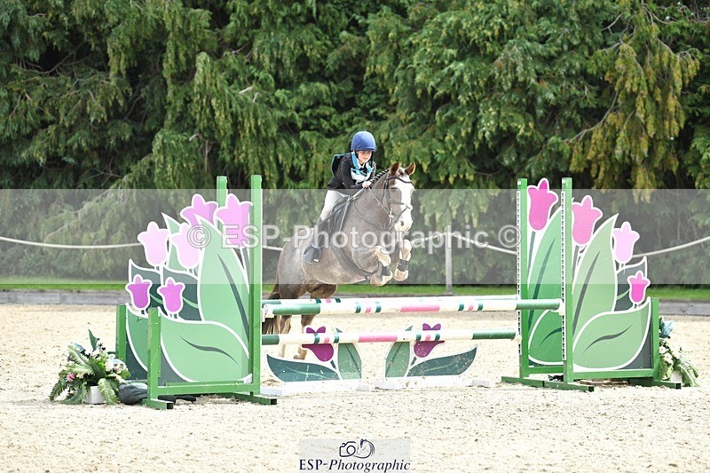 230827-115205-24231 - SJ 11.30 to End