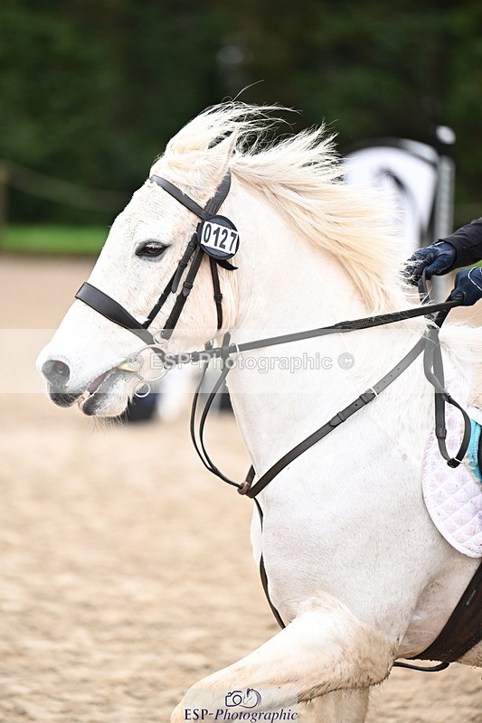 260222A-113354-00648 - 50cm All sections