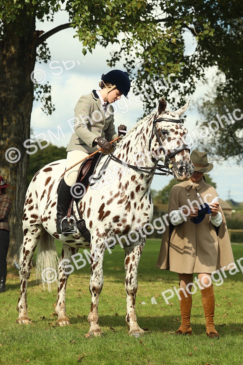 SBM_62524 - S62 - Foreign Breeds Ridden