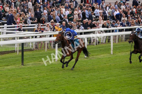 140624-Race 2-Inconspicuous-5560 - Race 2 2.25pm CGE Yorkshire Rous Selling Stakes