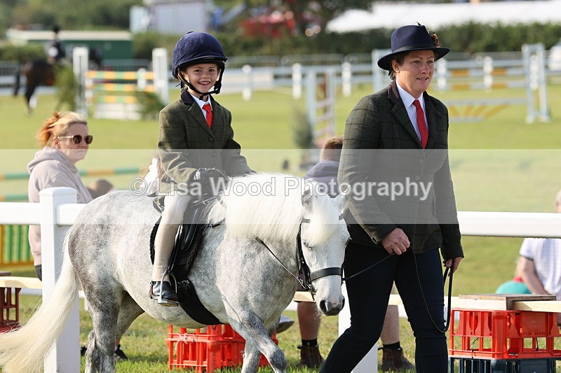 JPP_0147 - Class 14: Cornish Combination Leading Rein