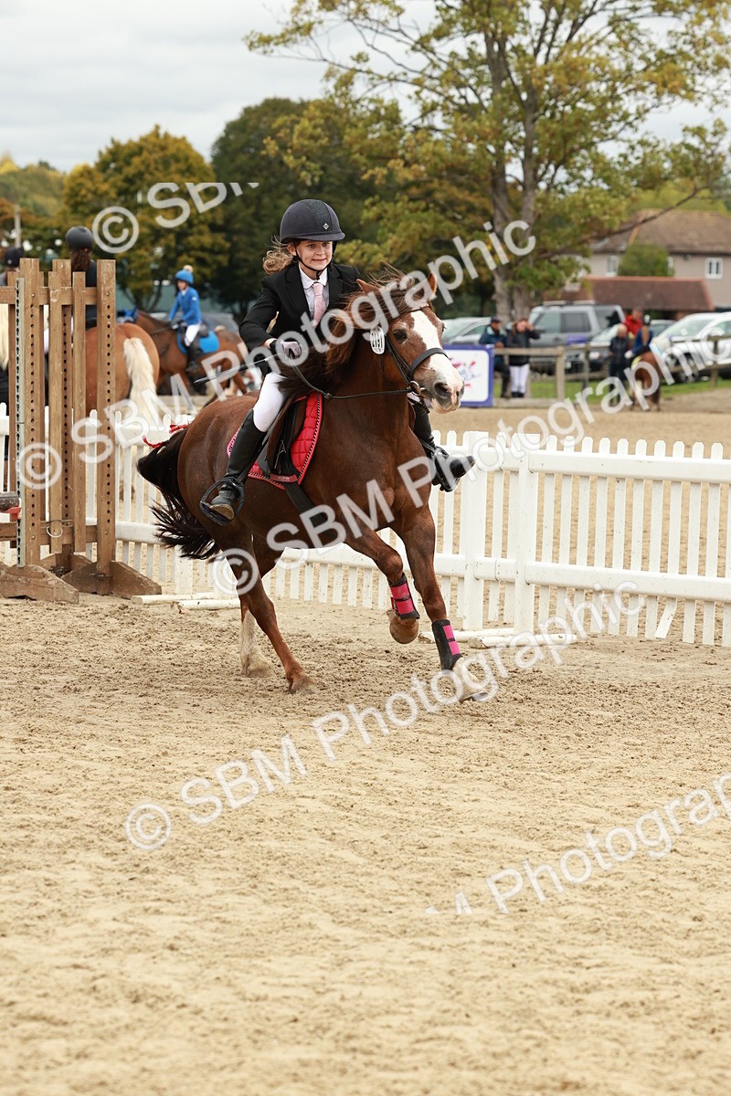 SBM_67092 - J13 - Junior Pony 60cm Championship
