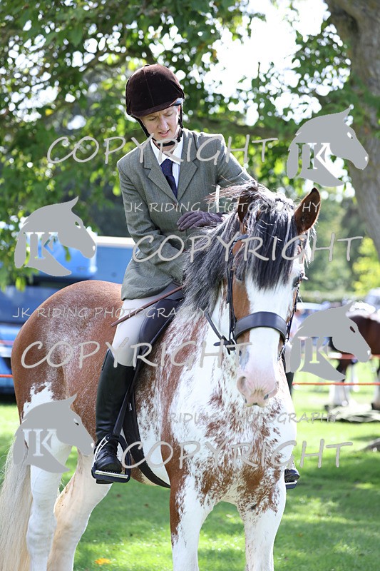 APP_3683 - Class 8 Ridden Class