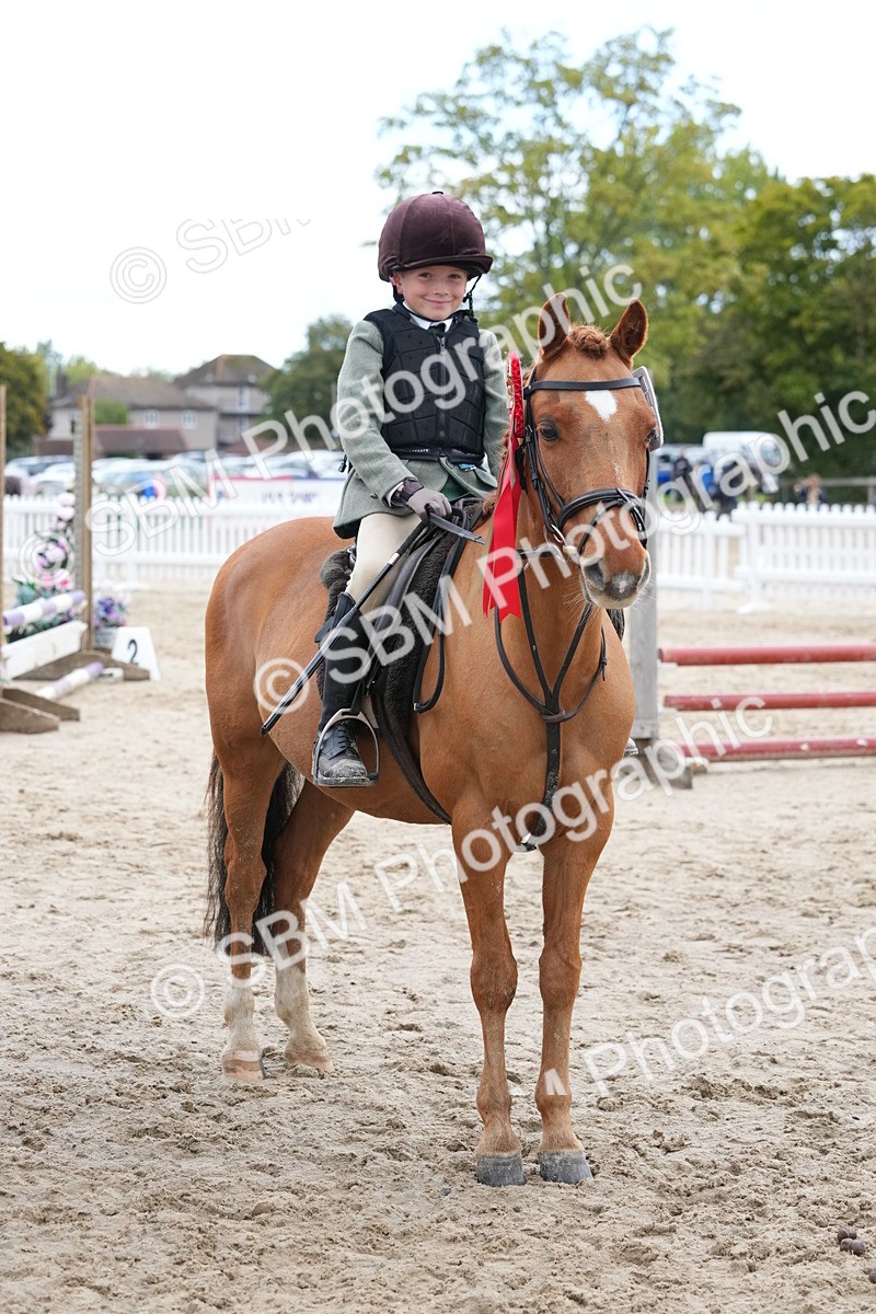 SBM_40901 - Supreme Championship Pony 50-55cm