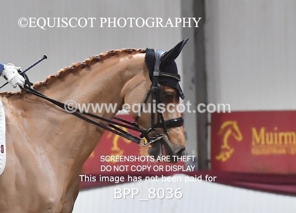 BPP_8036 - MED TEST 4