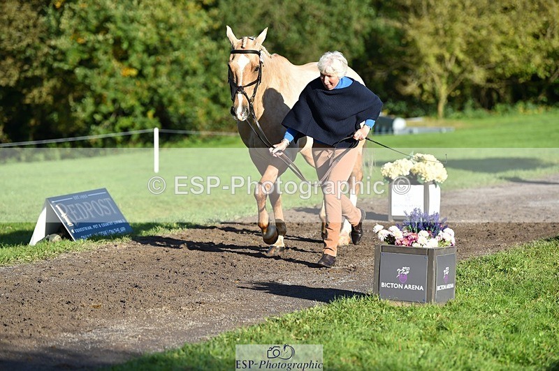 231022-100208-22195 - 612-CORRIEVIEW.MERLIN.MAGIC-Jane.Rogers-TrotUp+SJ