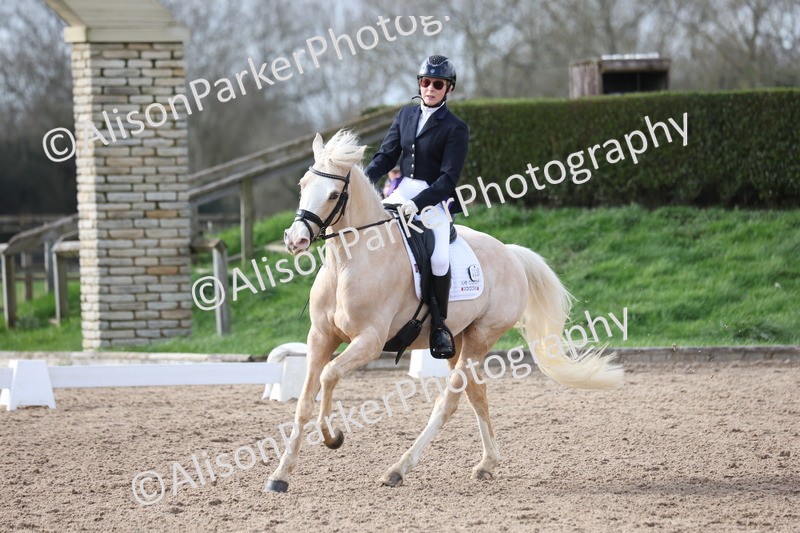 20260301-0656 - Class 4 - Novice 5