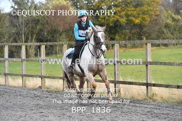 BPP_1836 - CLASS 3 - 80CM