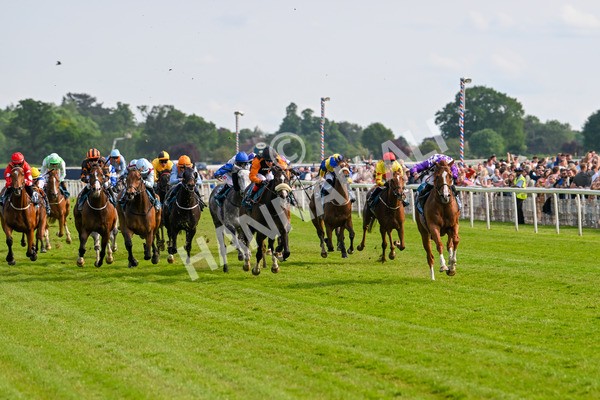 310525-Race 7-Mums Tipple-0301 - Race 7 5.00pm William Hill Best Odds Guaranteed Handicap