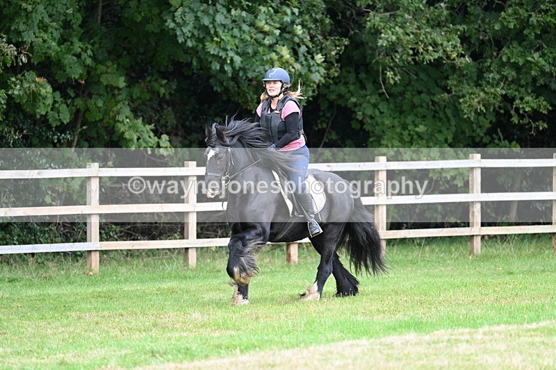 WJ7_7876 - 40cm Time 10:49 to 11:18