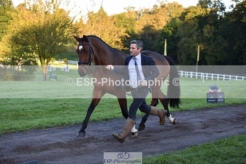 231022-083902-21276 - 683-ALVESCOT.FIVE.STAR-Mark.Ford-TrotUp+SJ