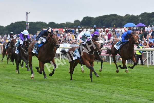 yr18082022r6-39 - Race 6 4.45 pm OR8wellness ebfstallions Nursery Handicap