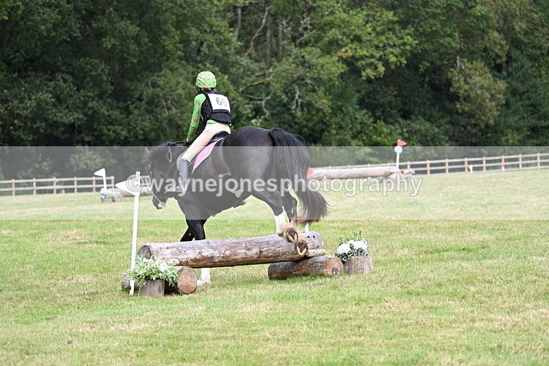 WJ7_8925 - 60cm Time 12:31 to 12:50