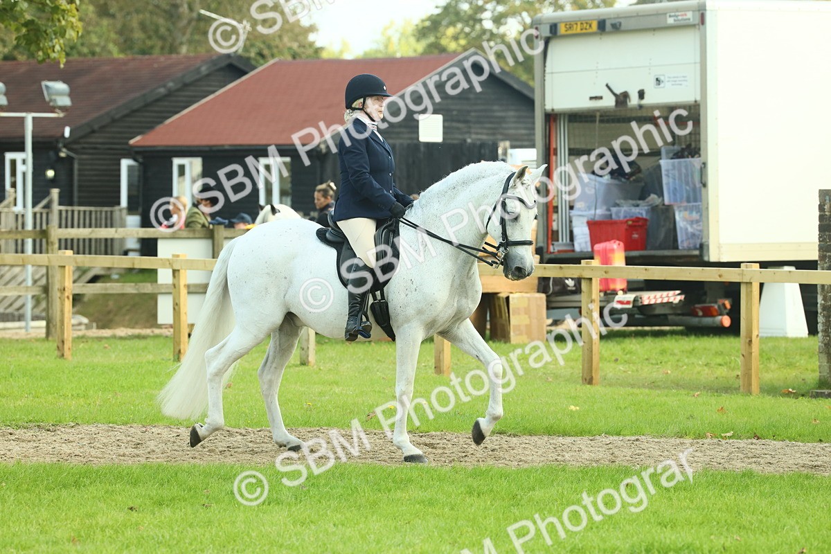 SBM_62386 - S62 - Foreign Breeds Ridden