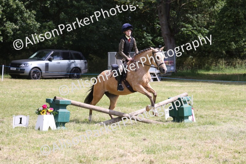 20260614-1770 - Class 21 - Novice Working Hunter Pony