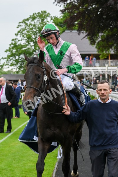 250524-Race 3-Starlust-3309 - Race 3 2.45pm William Hill Extra Place Races Daily Handicap