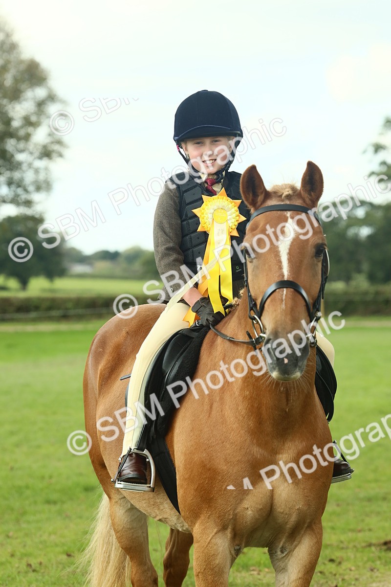 SBM_62547 - S62 - Foreign Breeds Ridden