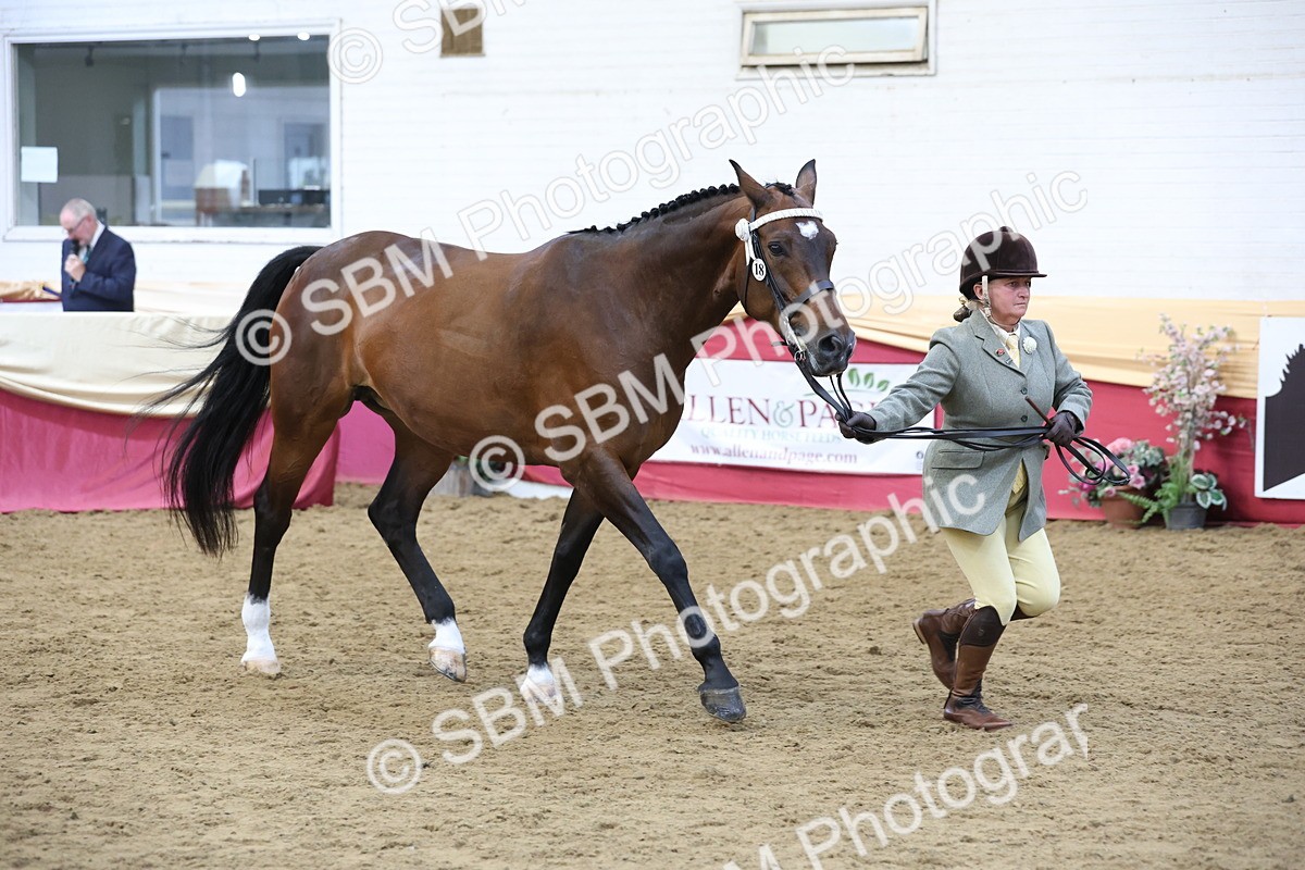 SBM_23646 - class 906 - Supreme Final - Ridden Pre Vet