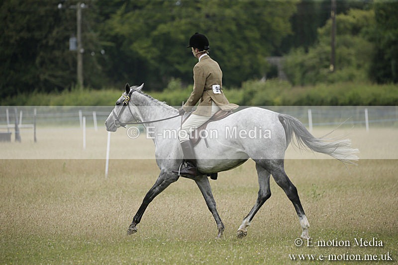 B230619-0890 - Bourne Valley Riding Club Summer Show 23/06/19
