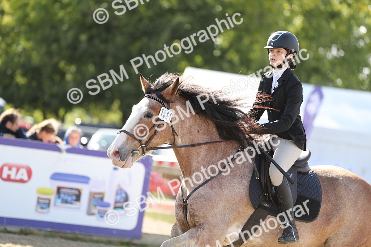 SBM_49593 - J22 - Junior Horse 65cm Championship