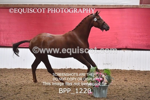 BPP_1220 - MORNING 9AM - 12PM