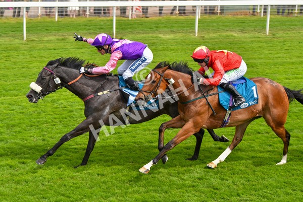 170523-Race 3-Azure Blue-8713 - Race 3 3.00pm 1895 Duke of York Clipper Logistics Stakes