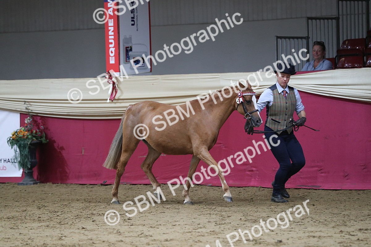 SBM_04973 - Class 8R- Regional -IH Veteran
