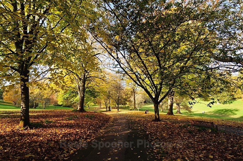 Autumn at Cockington