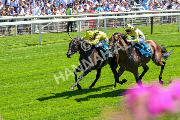 120725-Race 1-Remmooz-5509 - Race 1 2.00pm John Smith's Racing Handicap