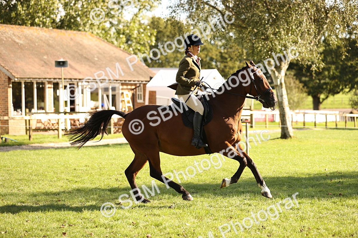 SBM_26453 - S6 - Novice & Newcomers Ridden Horse