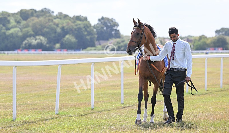 220826-026 Infraad - Race 2 14.25pm Sky Bet Melrose Handicap
