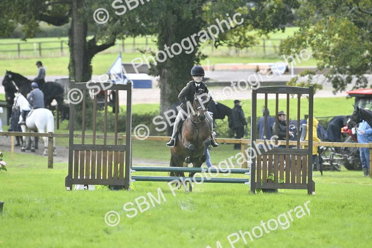 SBM_37171 - S31 - Novice & Newcomer Working Hunter Pony