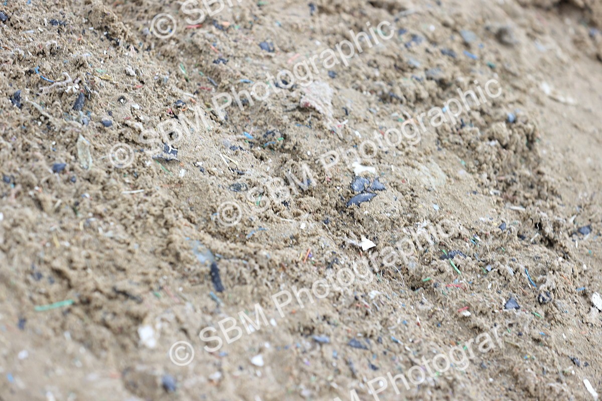 SBM_006880 - Class 29 - 30 - M&M Pure Novice Small-Large Breeds