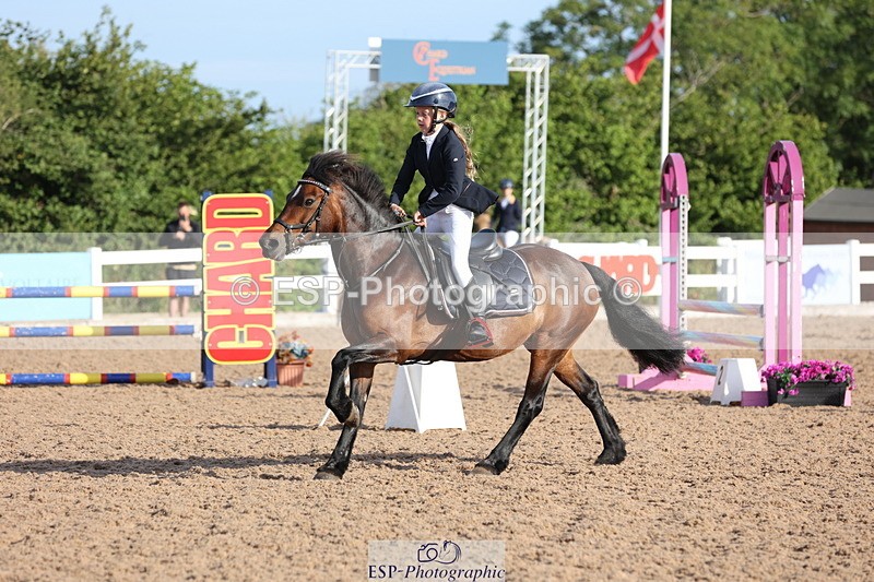 240629A-074409-02212 - Cls 16 British Novice and 80cm Open